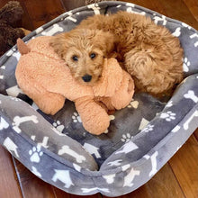 Load image into Gallery viewer, Pet Anxiety Relief Toy with Heartbeat - 50% OFF Today Only