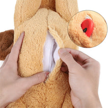 Load image into Gallery viewer, Pet Anxiety Relief Toy with Heartbeat - 50% OFF Today Only