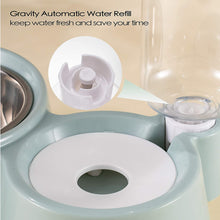 Load image into Gallery viewer, Pet Friendly 2-in-1 Cat Feeder - 50% OFF Today Only