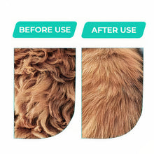 Load image into Gallery viewer, 2-in-1 Groomer Dryer Brush For PETS - 50% OFF Today Only