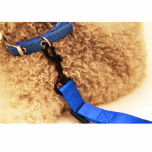 Load image into Gallery viewer, Pets Adjustable Car Restraint - 50% Off Today Only
