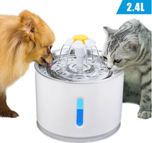 Load image into Gallery viewer, Cherish Water Fountain For Pets - 50% Off Today Only