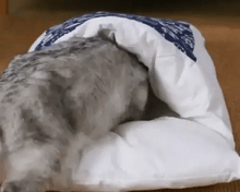 Load image into Gallery viewer, SNUGGLY CAT BED - 50% OFF TODAY ONLY