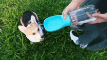 Load image into Gallery viewer, Cute Portable 3-in-1 Pet Water Dispenser - 50% OFF Today Only