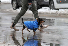 Load image into Gallery viewer, Dog Care Waterproof Winter Jacket - 50% OFF Today Only