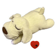 Load image into Gallery viewer, Pet Anxiety Relief Toy with Heartbeat - 50% OFF Today Only
