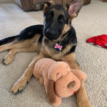 Load image into Gallery viewer, Pet Anxiety Relief Toy with Heartbeat - 50% OFF Today Only
