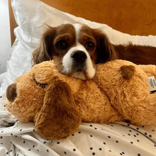 Load image into Gallery viewer, Pet Anxiety Relief Toy with Heartbeat - 50% OFF Today Only
