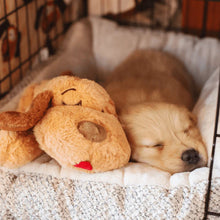 Load image into Gallery viewer, Pet Anxiety Relief Toy with Heartbeat - 50% OFF Today Only
