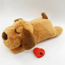 Load image into Gallery viewer, Pet Anxiety Relief Toy with Heartbeat - 50% OFF Today Only
