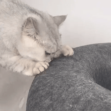 Load image into Gallery viewer, Peek-A-Boo Donut Shaped Cat Bed - 50% OFF Today Only
