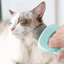 Load image into Gallery viewer, Pet Hair Removal And Massaging Comb - 50% Off Today Only
