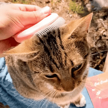 Load image into Gallery viewer, Pet Hair Removal And Massaging Comb - 50% Off Today Only
