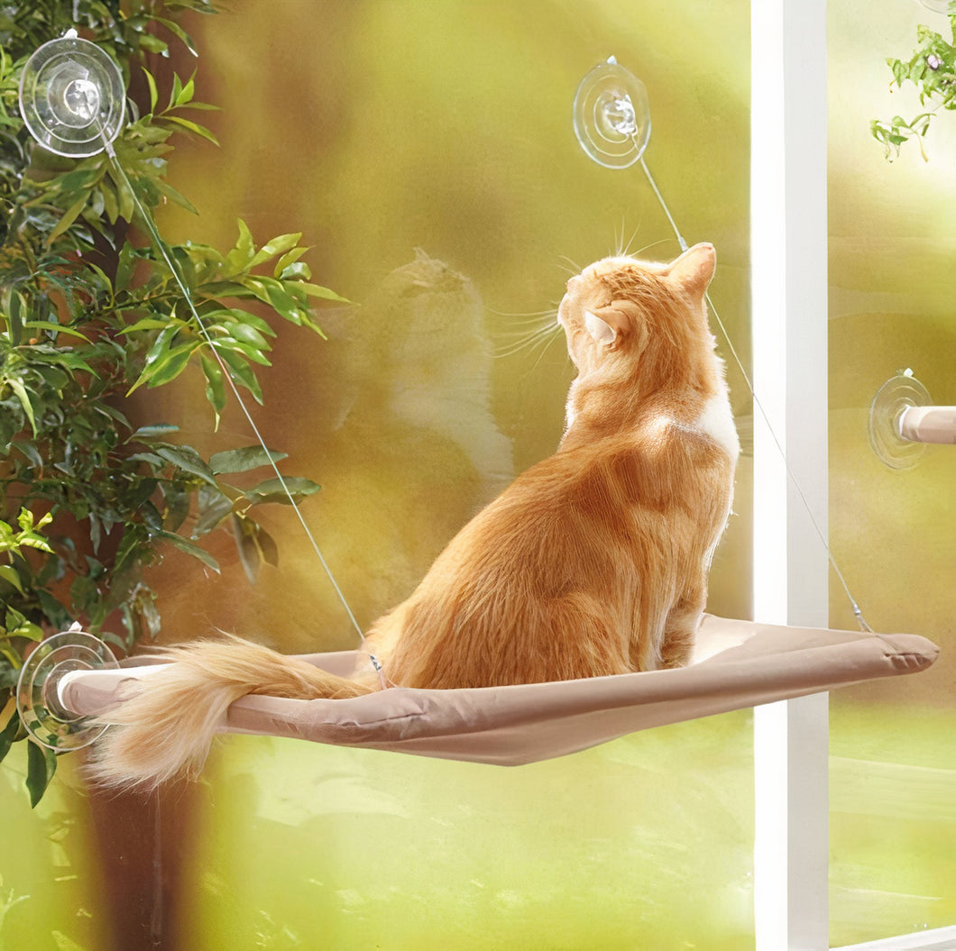 Cat Window Hammock - 50% Off Today Only