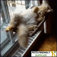 Load image into Gallery viewer, Cat Window Hammock - 50% Off Today Only
